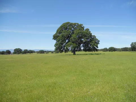 18750 Red Bank Rd, Red Bluff, CA 96080 photo 61