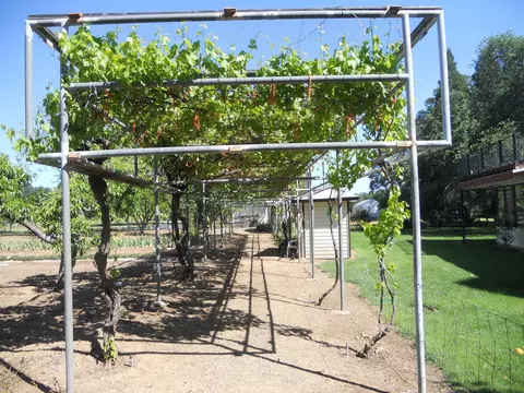 18750 Red Bank Rd, Red Bluff, CA 96080 photo 4