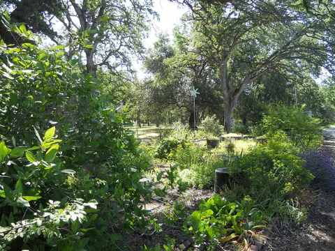 18750 Red Bank Rd, Red Bluff, CA 96080 photo 50