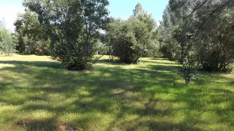 17704 Bright Path, Anderson, CA 96007 photo 9
