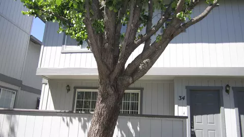 200 Ridgetop Dr #34, Redding, CA 96003 photo 1