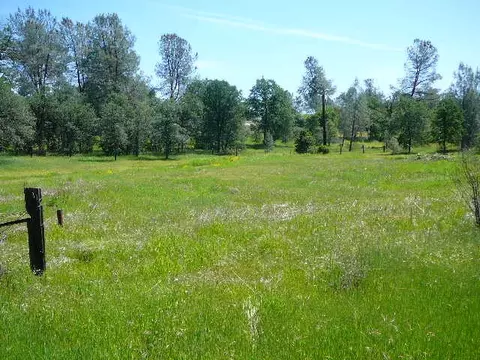 20787 Holler Ln, Redding, CA 96003 photo 15