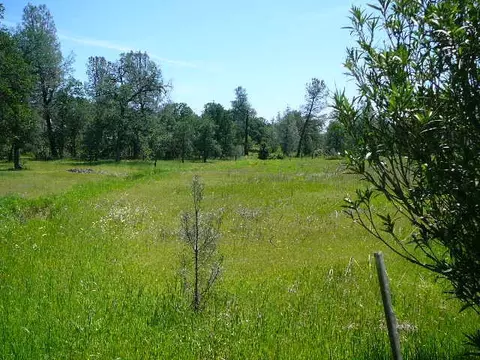 20787 Holler Ln, Redding, CA 96003 photo 13