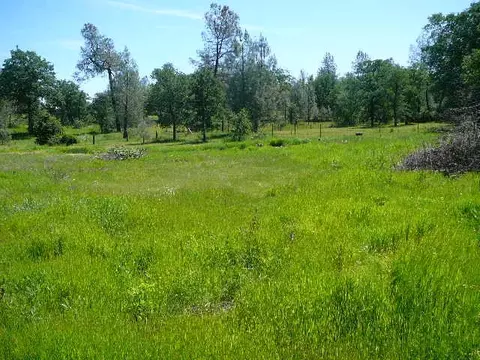 20787 Holler Ln, Redding, CA 96003 photo 8