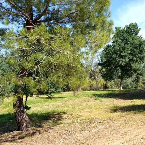 8000 Placer Rd, Redding, CA 96001 photo 7