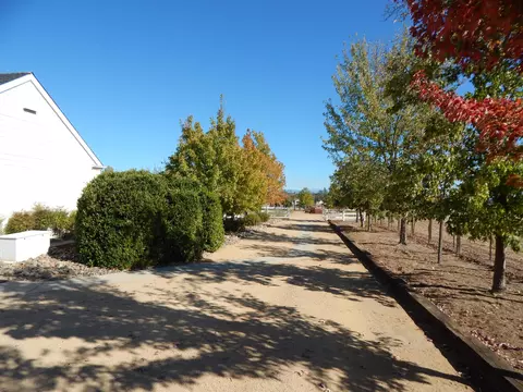 8375 Maynard Rd, Palo Cedro, CA 96073 photo 24