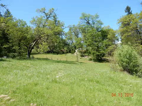 900 Lower S Fork Rd, Hyampom, CA 96046 photo 5