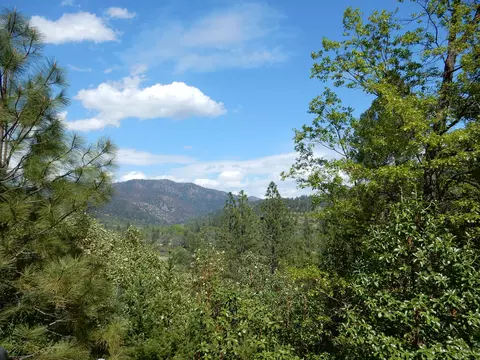 900 Lower S Fork Rd, Hyampom, CA 96046 photo 20