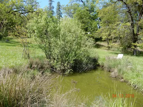 900 Lower S Fork Rd, Hyampom, CA 96046 photo 3