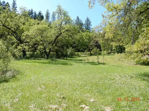 900 Lower S Fork Rd, Hyampom, CA 96046 photo 2