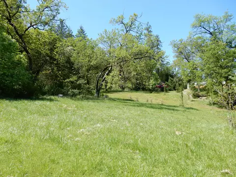 900 Lower S Fork Rd, Hyampom, CA 96046 photo 7