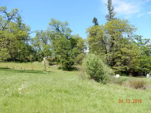 900 Lower S Fork Rd, Hyampom, CA 96046 photo 4