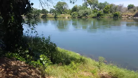 470 Brearcliffe Dr, Red Bluff, CA 96080 photo 10