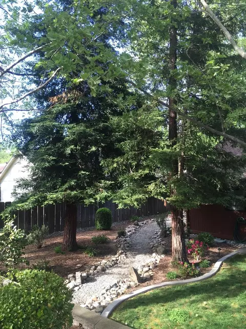 6360 Mullen Pkwy, Redding, CA 96001 photo 9