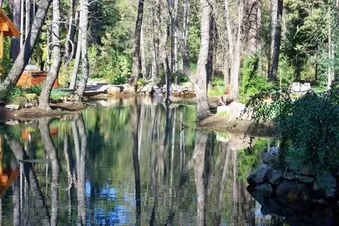 7637 Pegnan Rd, Shingletown, CA 96088 photo 6