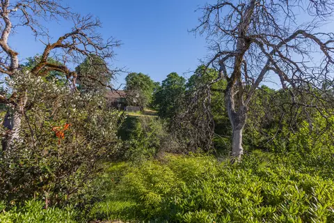 19287 Hollow Ln, Redding, CA 96003 photo 40