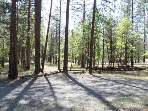 39471 Crane Rd, Cassel, CA 96016 photo 30