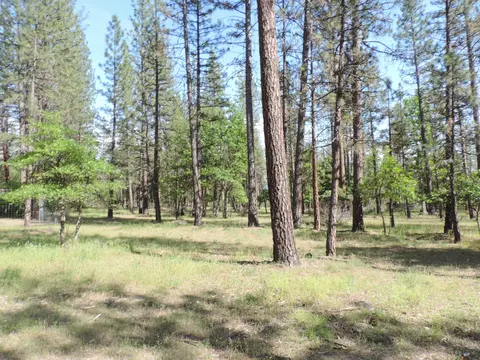 39471 Crane Rd, Cassel, CA 96016 photo 32