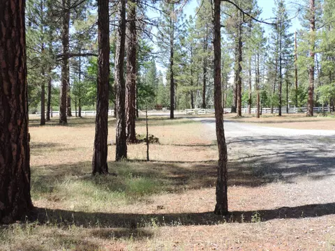 39471 Crane Rd, Cassel, CA 96016 photo 31