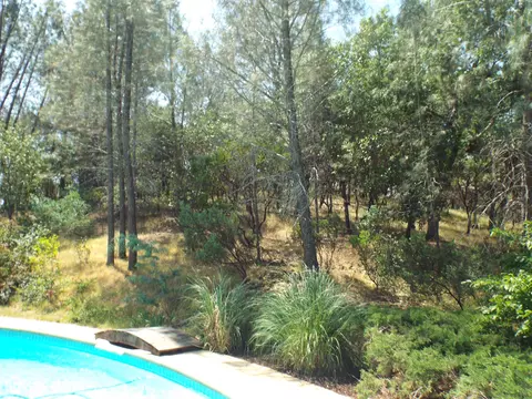 6926 Pine Dr, Anderson, CA 96007 photo 25