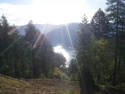 1040 Upper Moore Gulch Rd, Trinity Center, CA 96091 photo 8