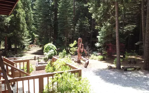 34719 Hardtack Ln, Shingletown, CA 96088 photo 14
