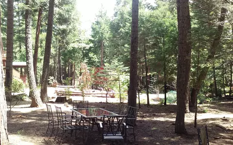 34719 Hardtack Ln, Shingletown, CA 96088 photo 55