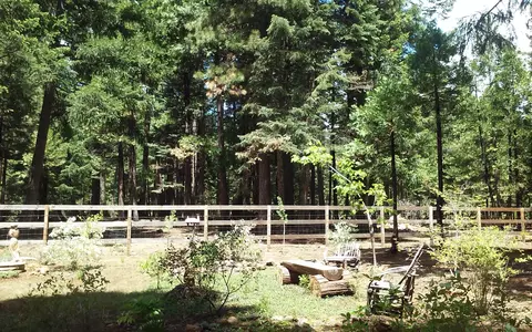 34719 Hardtack Ln, Shingletown, CA 96088 photo 57