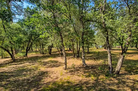 21598 Elk, Redding, CA 96003 photo 17