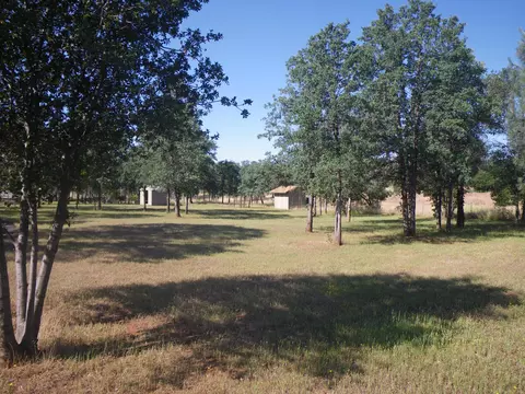 22657 Elk, Redding, CA 96003 photo 21