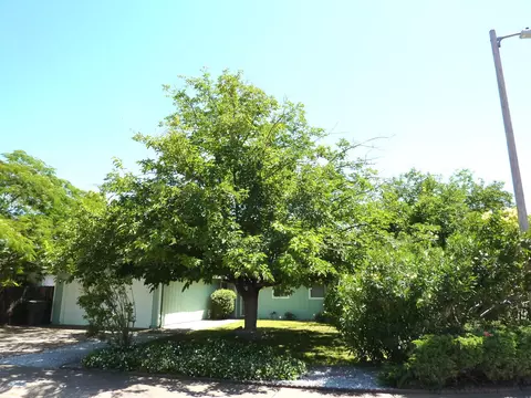 2499 Celestial St, Redding, CA 96002 photo 3