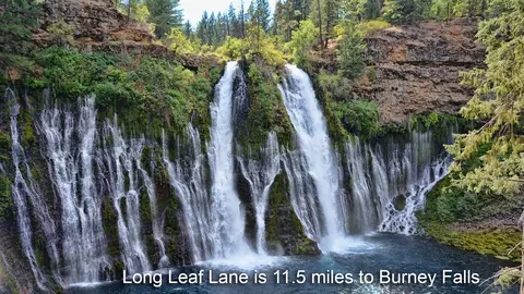 20125 Long Leaf Ln, Burney, CA 96013 photo 22