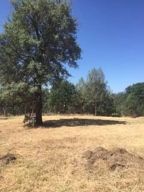 1030 Henry Moore Ln, Redding, CA 96003 photo 13