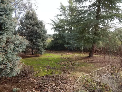 20673 Old 44 Dr, Redding, CA 96003 photo 66