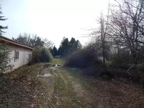 20673 Old 44 Dr, Redding, CA 96003 photo 76