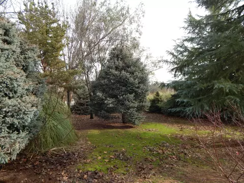 20673 Old 44 Dr, Redding, CA 96003 photo 67