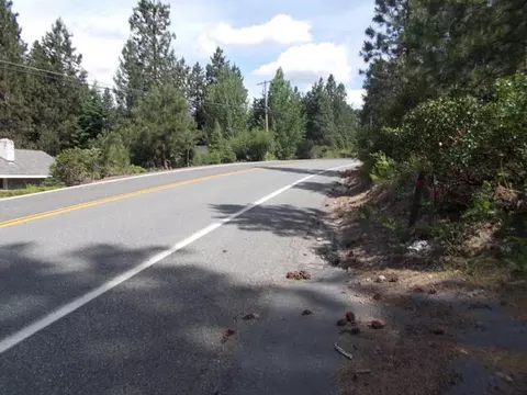 3032 Squaw Valley Rd, Mccloud, CA 96057 photo 62
