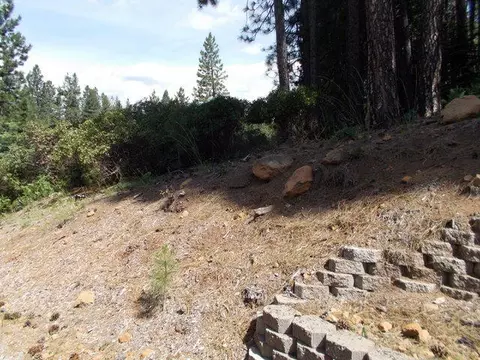 3032 Squaw Valley Rd, Mccloud, CA 96057 photo 43