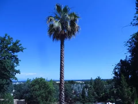 3724 Cal Ore Dr, Redding, CA 96001 photo 3