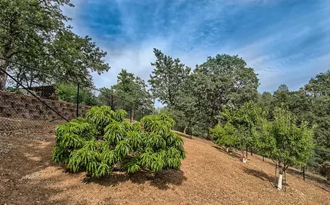 1811 Trailwood Ct, Redding, CA 96003 photo 39