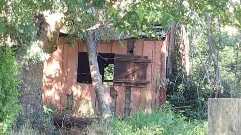 7247 Churn Creek Rd, Redding, CA 96002 photo 32