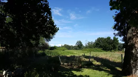 7247 Churn Creek Rd, Redding, CA 96002 photo 29