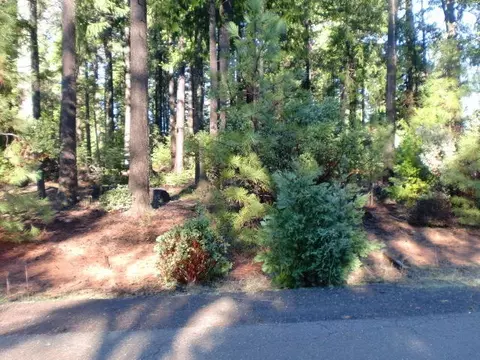 7182 Whispering Winds Ct, Shingletown, CA 96088 photo 1