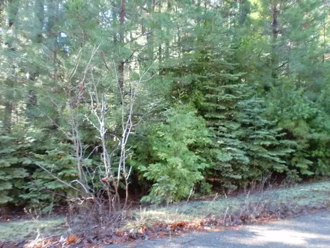 7182 Whispering Winds Ct, Shingletown, CA 96088 photo 5
