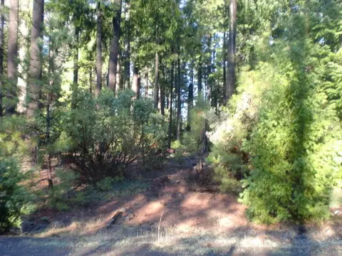 7182 Whispering Winds Ct, Shingletown, CA 96088 photo 2