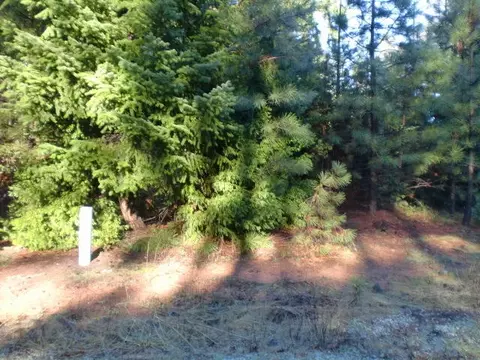 7182 Whispering Winds Ct, Shingletown, CA 96088 photo 3