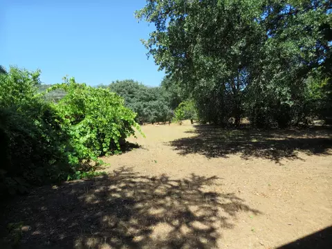 1608 Ridge Dr, Redding, CA 96001 photo 26