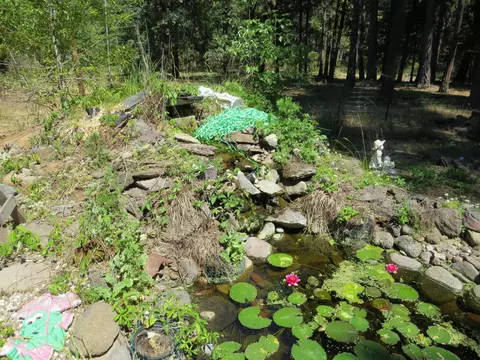 33154 Sites Rd, Shingletown, CA 96088 photo 23