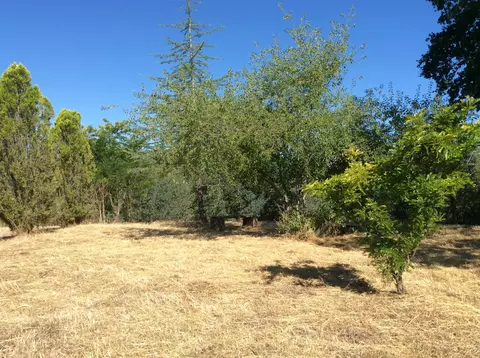 7520 Happy Valley Rd, Anderson, CA 96007 photo 7