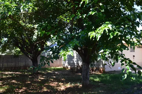 3577 Orion Way, Redding, CA 96002 photo 10